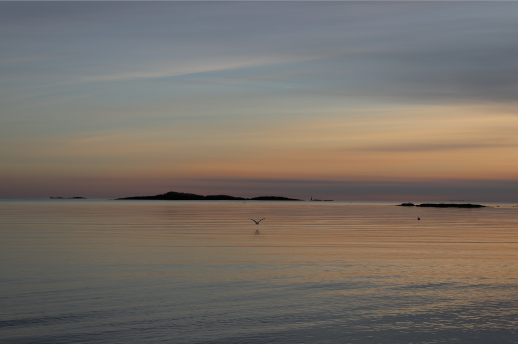 A bird flies over the Long Island Sound at sunset